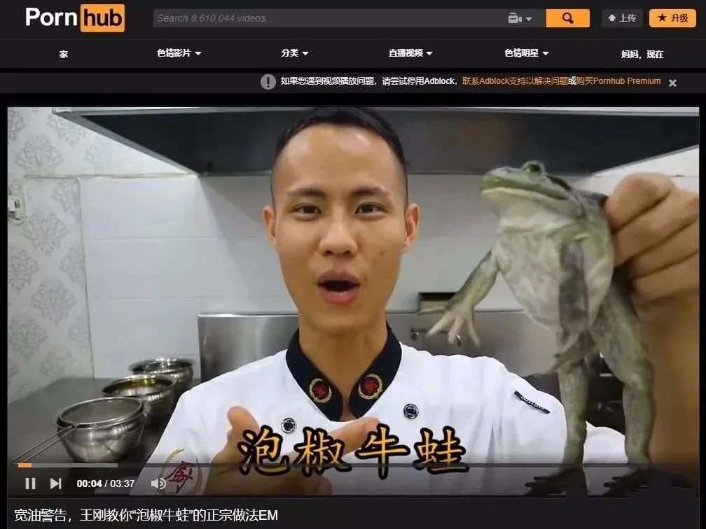 Pornhub全球范围内赠送高级会员?业界良心呀!-i3综合社区