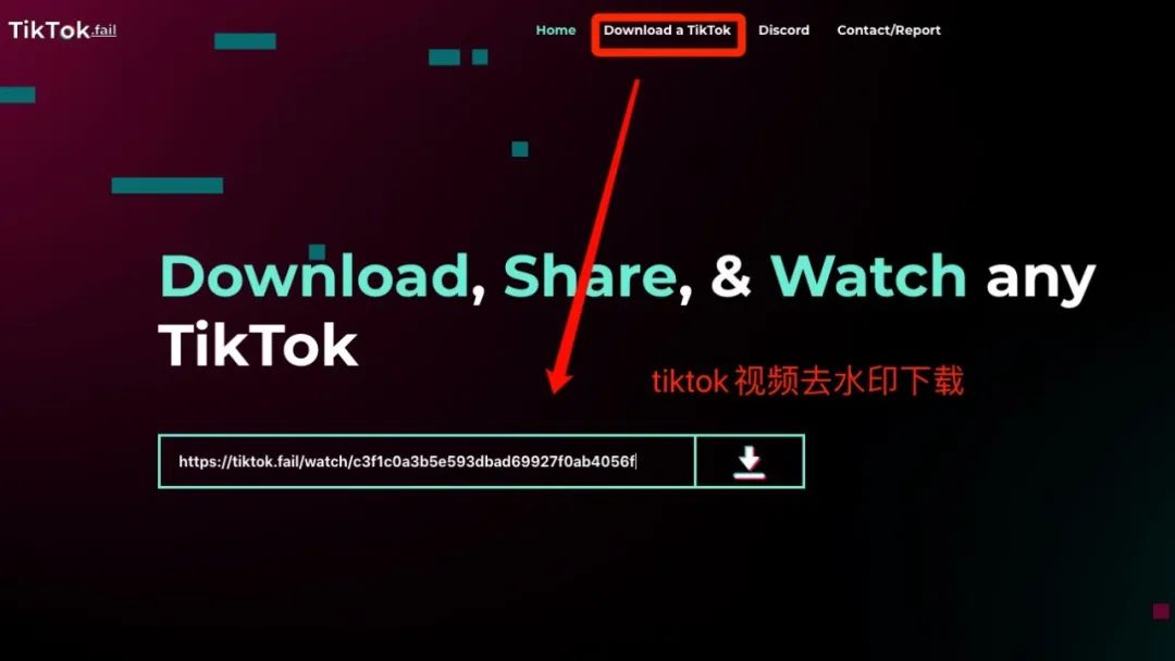 图片[4] | 免番！TikTok抖音国际版镜像站，国外小姐姐竟如此丝滑？ | i3综合社区