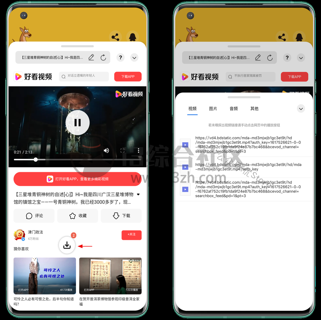 袋鼠下载、视频下载器App,嗅探视频、图片、音频等资源!-i3综合社区