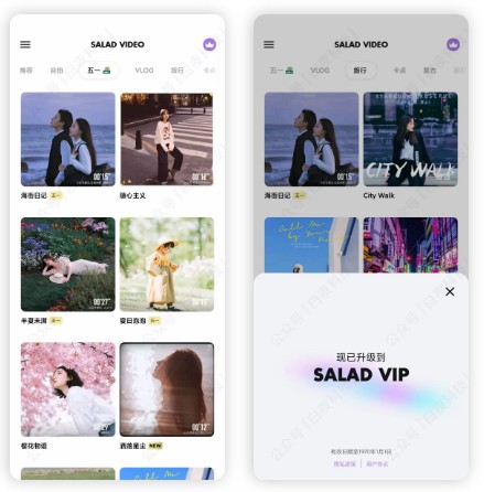 沙拉视频v9.9.9破解版，白嫖所有VIP模板，五一假期必备神器！