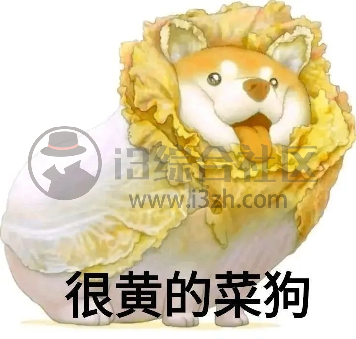 图片[1] | 密码Yo盒App，再也不怕忘记密码，此软件适合手冲过多的LSP们！ | i3综合社区
