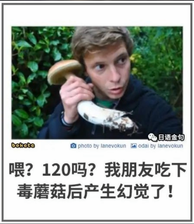 图片[12] | TOPYS创意内容平台，知乎热榜第一，这类网站让我眼前一亮！ | i3综合社区