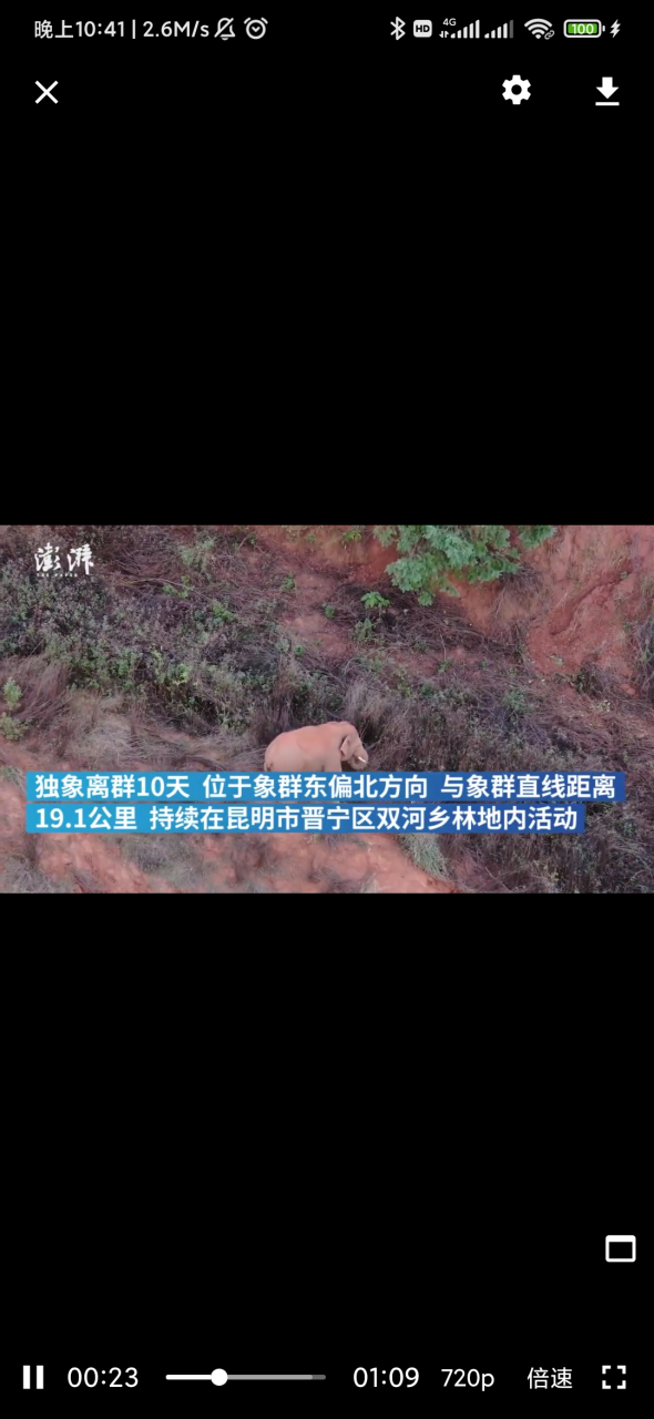 图片[5] | See第三方微博客户端v1.6.5.3，微博被这个4.4M的APP治的服服帖帖！ | i3综合社区