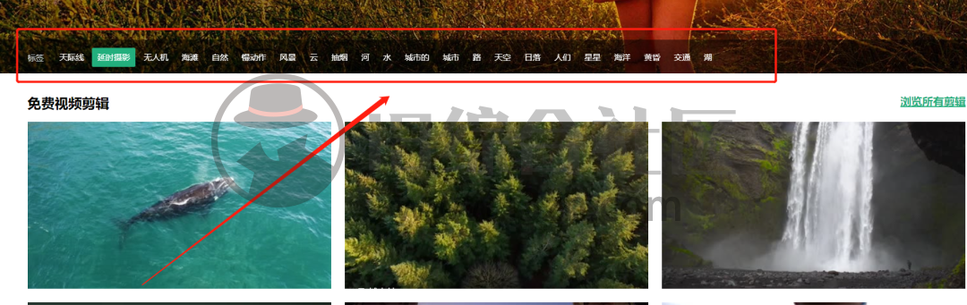 图片[2] | Mazwai影片素材，想找免费的视频资源？错过这里你会哭！ | i3综合社区