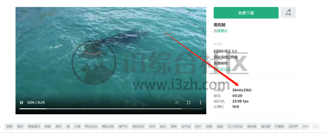 图片[4] | Mazwai影片素材，想找免费的视频资源？错过这里你会哭！ | i3综合社区