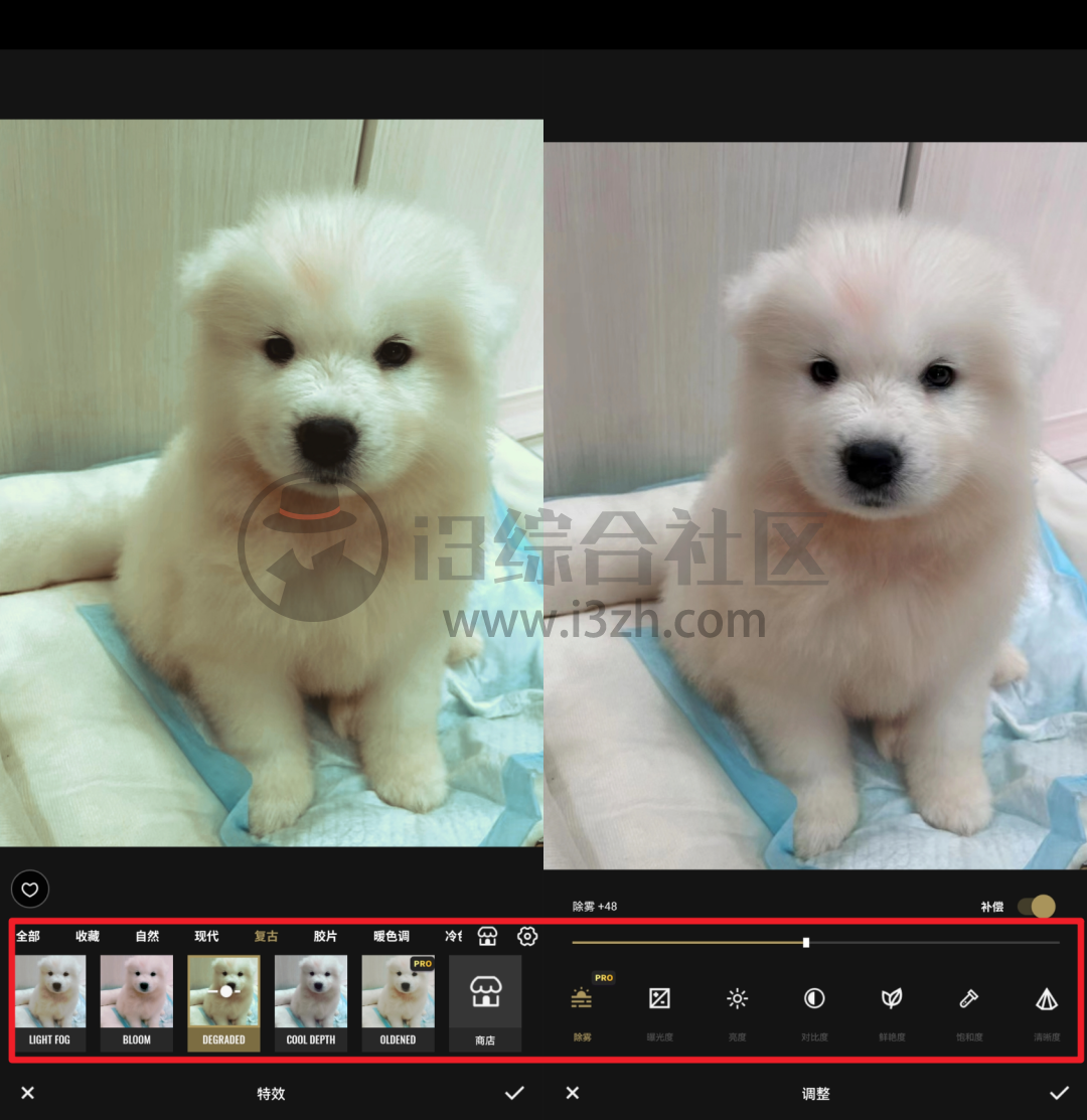 图片[10] | Fotor Pro、青柠设计App破解版，这款工具以一抵百！还请啥设计师？ | i3综合社区