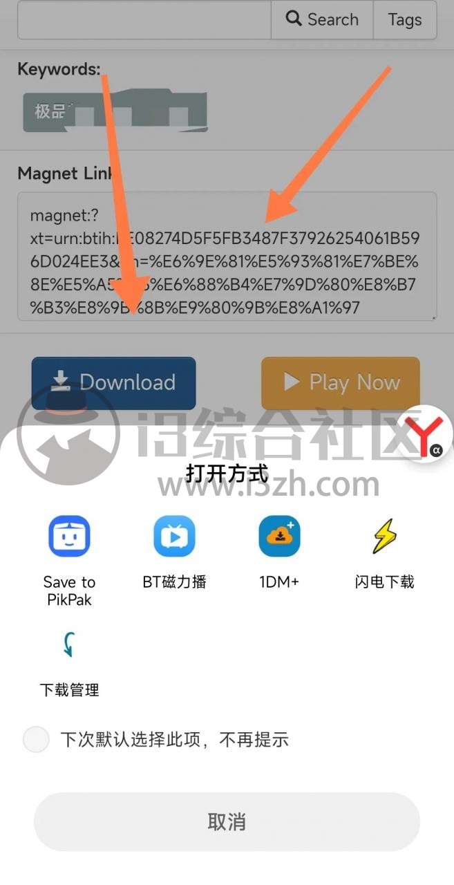 BTSOW,业界知名的磁力搜索站点,还支持种子和磁链互转!-i3综合社区