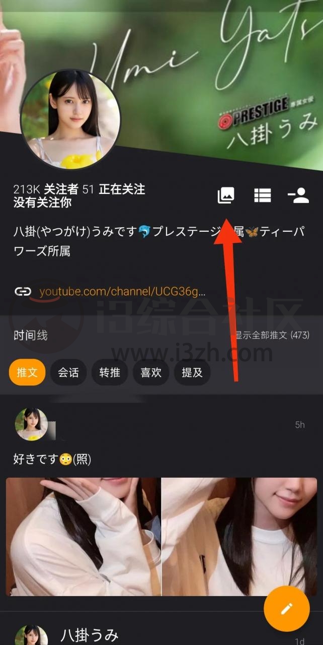 图片[1] | Talon APP，Twitter第三方客户端，纯净无广告，吊打官方原版！ | i3综合社区