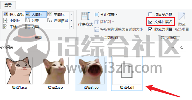 图片[4] | 回收站猫猫，最近抖音超火的，你的回收站有我这么可爱吗？ | i3综合社区