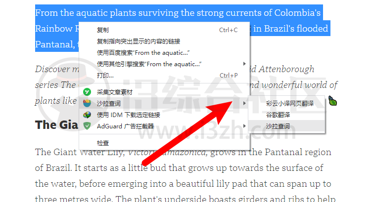 图片[11] | 网盘资源全网搜、Abcd PDF、沙拉查词，神仙浏览器插件，太好用了吧！ | i3综合社区
