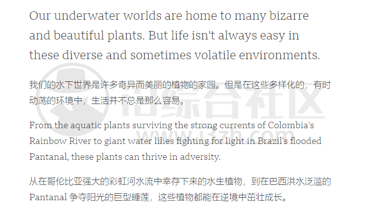 图片[13] | 网盘资源全网搜、Abcd PDF、沙拉查词，神仙浏览器插件，太好用了吧！ | i3综合社区