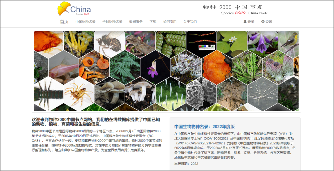 图片[16] | 不想摸鱼了？但这15个有趣的网站有点香啊，记得点赞收藏！ | i3综合社区