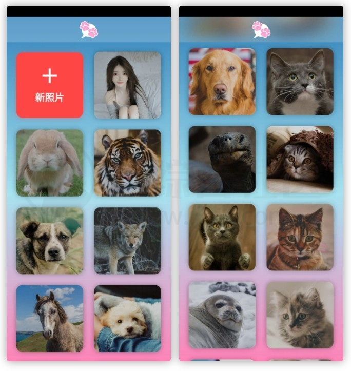 图片[1] | 我的宠物会说话APP_v2.3.008破解版，让任何照片都能开口说话！ | i3综合社区