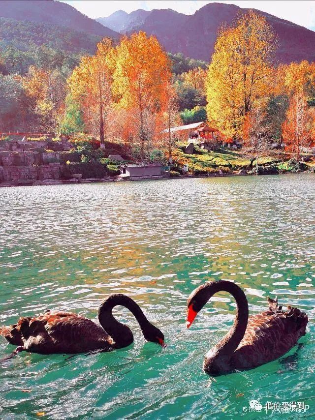图片[21] | 十六番旅行APP，去旅游做攻略太累？有这款懒人地图软件就够了！ | i3综合社区
