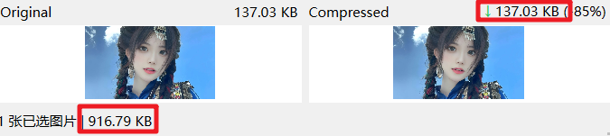 图片[5] | Caesium Image Compressor，专业无损图片压缩软件，支持批量处理！ | i3综合社区