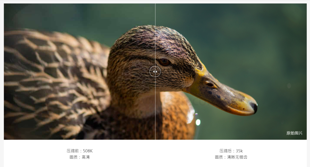 图片[4] | 鸭力巨大(yalijuda.com)，一个免费在线压缩图片/视频的网站！ | i3综合社区