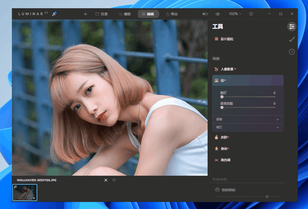 Luminar AI、PhotoDiva破解版，自国外的两款照片美化工具！-i3综合社区