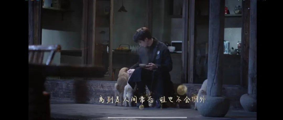 图片[6] | 短视频解析去水印接口平台(api.spapi.cn)，这是把互联的裤衩都扒光了！ | i3综合社区