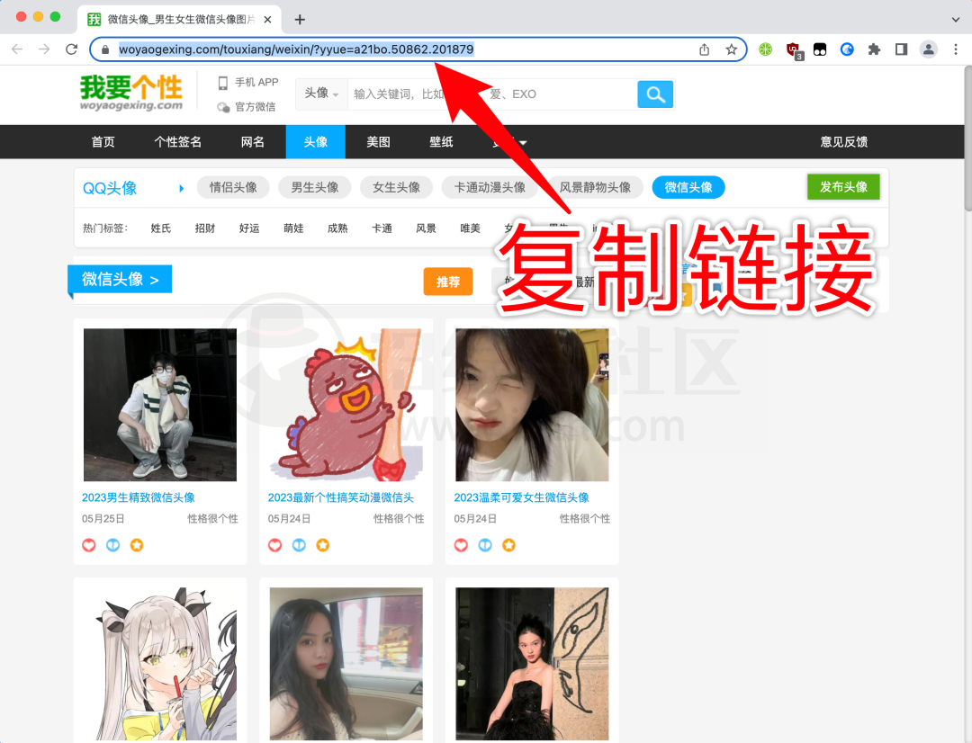 Image Extractor(extract.pics),一键抓取任意网站上的所有图片! Image Extractor(extract.pics),一键抓取任意网站上的所有图片!-i3综合社区