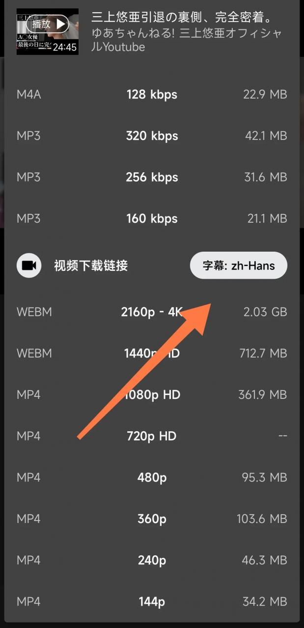 图片[3] | YTube_v3.7.22，轻松搞定某“油管”的各种画质内容及字幕！ | i3综合社区