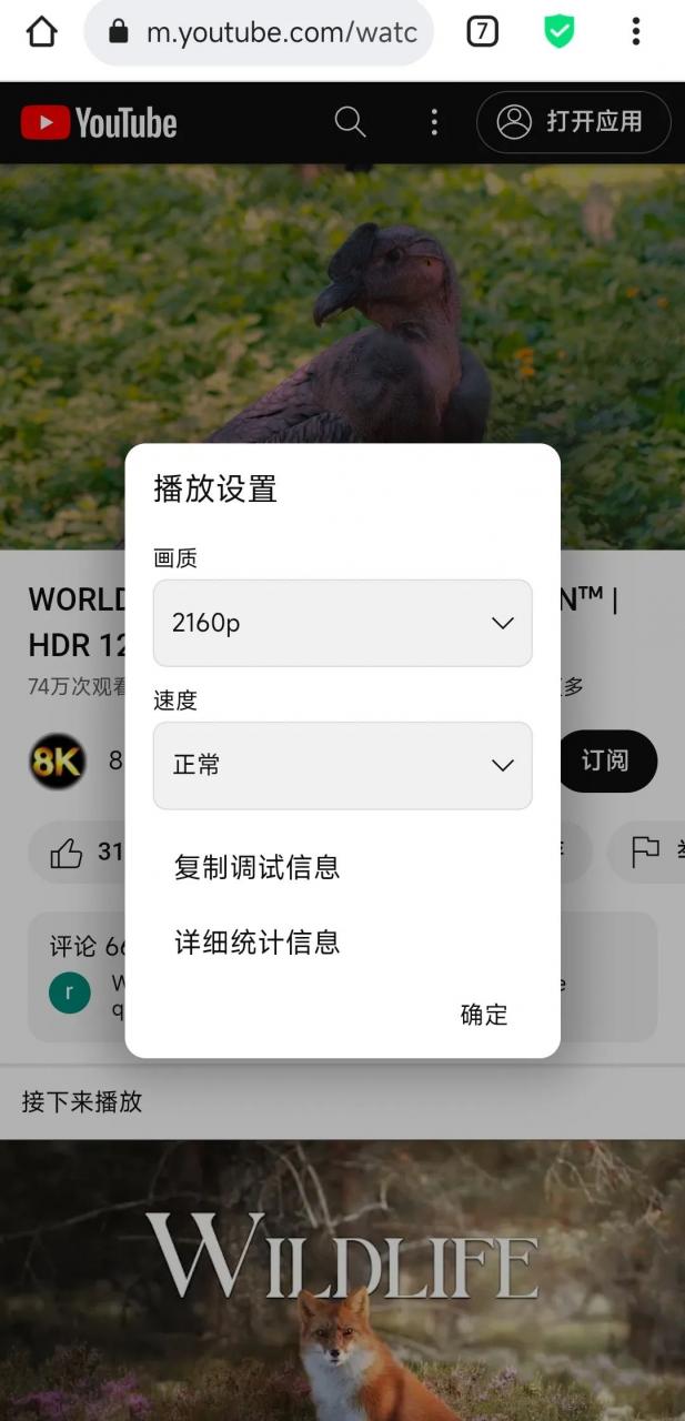 火箭浏览器APP，一款无限制使用的安卓端浏览器！