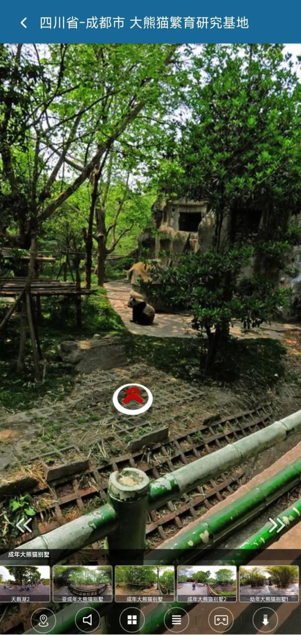 急速下载器APP_v1.0.6,无需充值的磁力软件,比迅雷还牛B!-i3综合社区