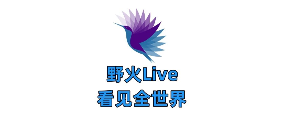 野火Live_5.9.5最新版,全球各地的直播都有,海外及港台!