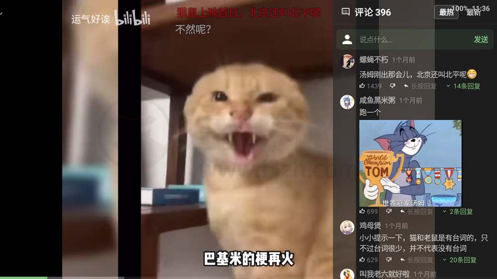 图片[2] | BT-新B站第三方TV客户端，轻松适配安卓4.4老设备 | i3综合社区